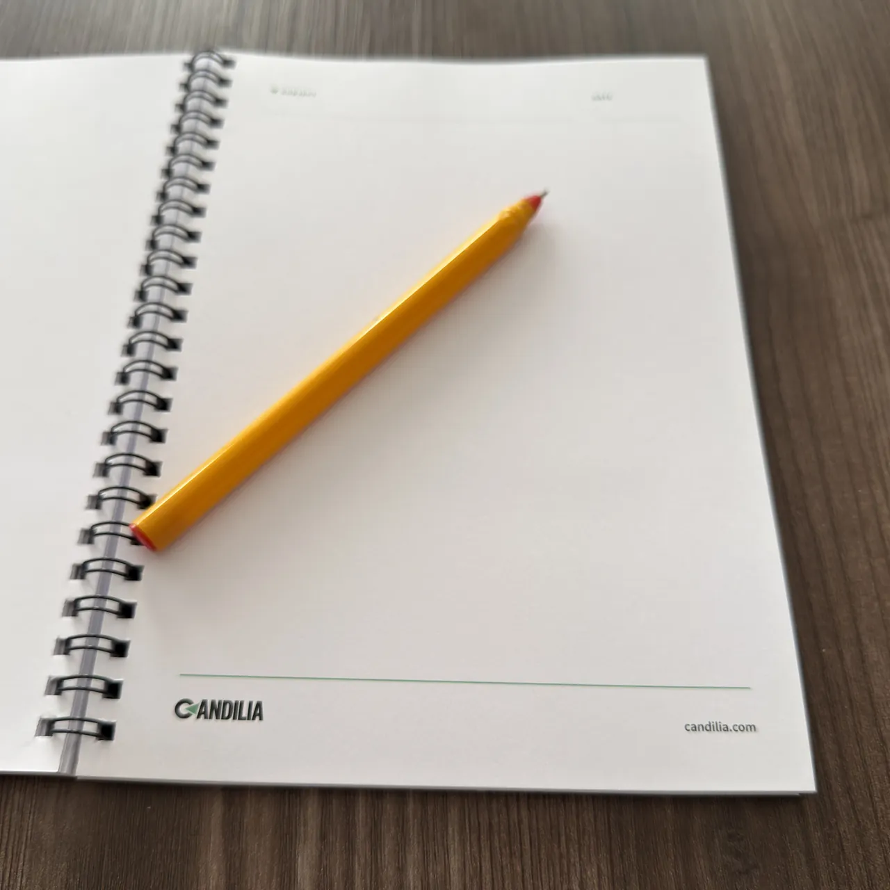 An open Candilia notebook and a pencil